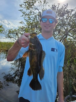 Fishing in Fort Lauderdale, Florida