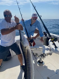 Sailfish Fishing in Riviera Beach, Florida