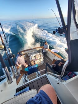 Fishing in Los Angeles, California