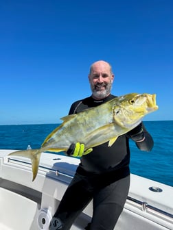 Rainbow Runner, Yellowtail Amberjack Fishing in Islamorada, Florida