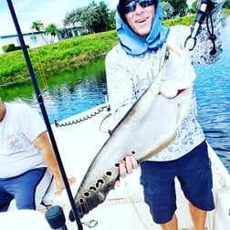 Clown Knifefish, Peacock Bass Fishing in Delray Beach, Florida