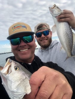 Black Drum Fishing in Galveston, Texas