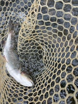 Fishing in Broken Bow, Oklahoma