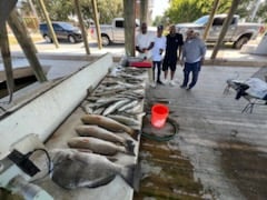 Black Drum, Redfish, Speckled Trout Fishing in Delacroix, Louisiana