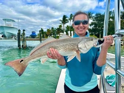 Kingfish Fishing in Sarasota, Florida