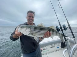 Bonito fishing in Chatham, Massachusetts