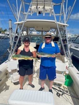 Mahi Mahi / Dorado fishing in Naples, Florida