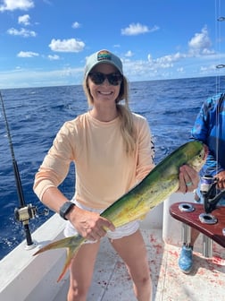 Mahi Mahi / Dorado fishing in Naples, Florida