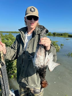 Fishing in South Padre Island, Texas