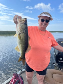 Largemouth Bass fishing in Lake Okeechobee, Florida