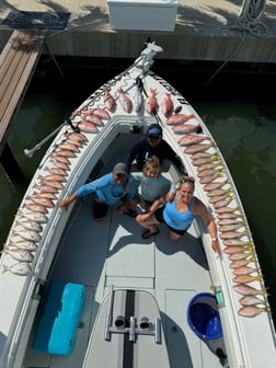 Fishing in Tierra Verde, Florida