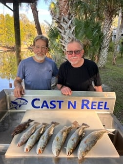 Mangrove Snapper, Speckled Trout / Spotted Seatrout Fishing in Crystal River, Florida