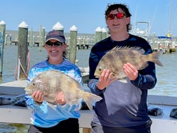 Sheepshead Fishing in Gulf Shores, Alabama