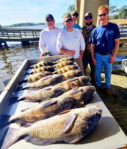 Black Drum, Sheepshead Fishing in Biloxi, Mississippi