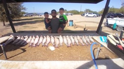 Fishing in San Antonio, Texas