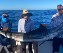 Striped Marlin Fishing in Cabo San Lucas, Baja California Sur