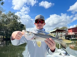 Speckled Trout / Spotted Seatrout Fishing in Oak Hill, Florida