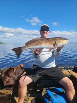 Redfish Fishing in Saint Marks, Florida