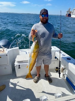 Redfish Fishing in Pensacola, Florida