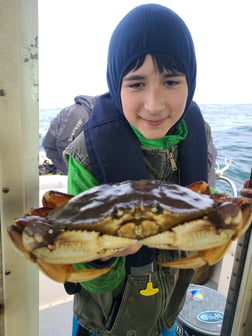 Crab Fishing in Bodega Bay, California