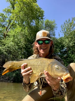 Carp fishing in Austin, Texas