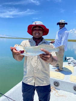 Bonnethead Shark Fishing in Surfside Beach, Texas