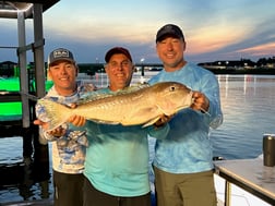 Tilefish Fishing in Freeport, Texas