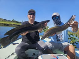 Snakehead Fishing in Miramar Beach, Florida