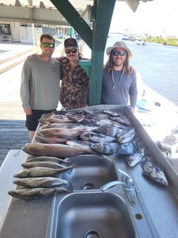 Black Drum, Redfish, Speckled Trout Fishing in Sulphur, Louisiana