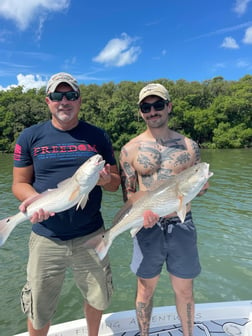 Redfish fishing in Clearwater, Florida