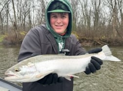 Fishing in Big Rapids, Michigan