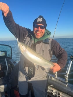 Fishing in Port Clinton, Ohio