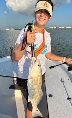 Black Drum fishing in Galveston, Texas