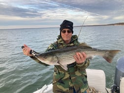 Striped Bass Fishing in Pottsboro, Texas