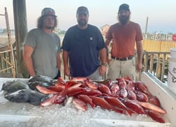 Scup / Porgy, Vermillion Snapper Fishing in Orange Beach, Alabama