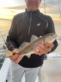 Fishing in Destin, Florida