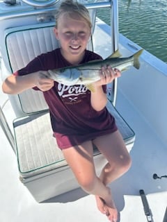 Snook Fishing in Tampa, Florida