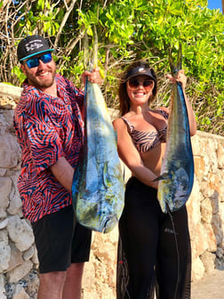 Mahi Mahi / Dorado fishing in Punta Cana, La Altagracia Province