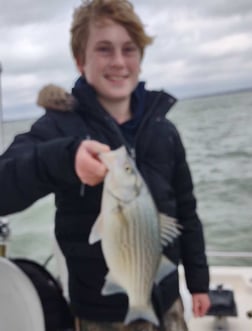 Blue Catfish, Hybrid Striped Bass Fishing in Runaway Bay, Texas