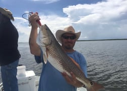 Speckled Trout / Spotted Seatrout fishing in Buras, Louisiana