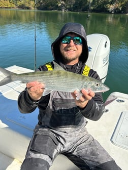 Fishing in Niceville, Florida