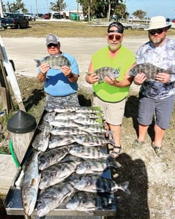 Black Drum Fishing in Cape Coral, Florida