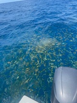 Fishing in Key West, Florida