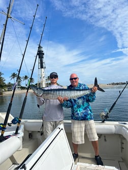 Sailfish Fishing in Pompano Beach, Florida