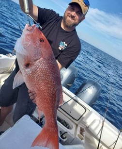 Kingfish, Lane Snapper, Mahi Mahi Fishing in Panama City, Florida