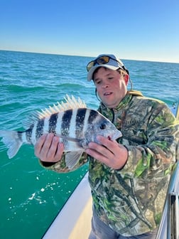 Lane Snapper Fishing in Cape Coral, Florida