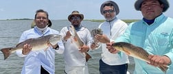 Flounder, Redfish, Sheepshead fishing in Key Largo, Florida