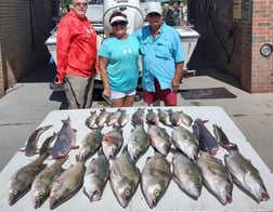 Hybrid Striped Bass, Striped Bass fishing in Runaway Bay, Texas