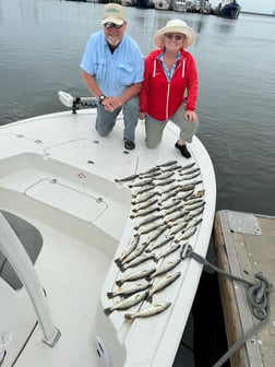 Speckled Trout Fishing in Panama City, Florida