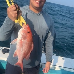 Red Snapper Fishing in St. Marys, Georgia